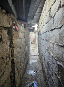 Project1.14Casablanca